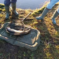 Lough Gowna Walking Trails - Keenagh