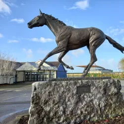 Curragh Racecourse - Kildare