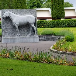 Irish National Stud & Gardens - Kildare