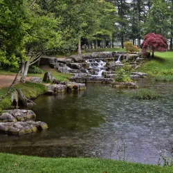 Irish National Stud & Gardens - Kildare