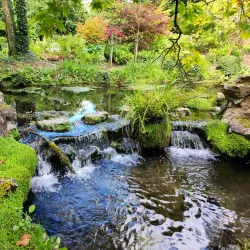Japanese Gardens at the Irish National Stud - Kildare