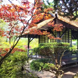 Japanese Gardens at the Irish National Stud - Kildare