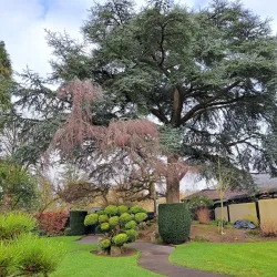 Japanese Gardens at the Irish National Stud - Kildare