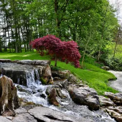 Japanese Gardens at the Irish National Stud - Kildare