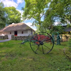 Lullymore Heritage & Discovery Park - Kildare