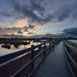 Lullymore Heritage & Discovery Park - Kildare