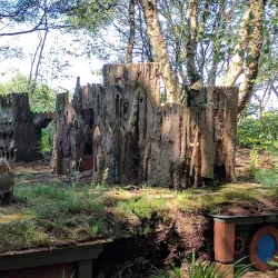 Lullymore Heritage & Discovery Park - Kildare