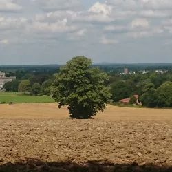 Moore Abbey - Kildare