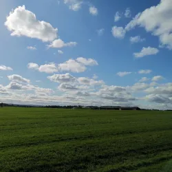 Punchestown Racecourse - Kildare