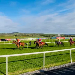 Punchestown Racecourse - Kildare