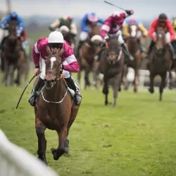 Punchestown Racecourse - Kildare