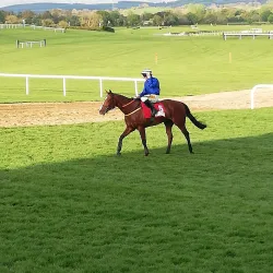 Punchestown Racecourse - Kildare