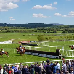 Punchestown Racecourse - Kildare