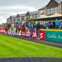 Punchestown Racecourse - Kildare