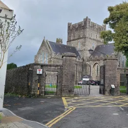 St. Brigid's Cathedral and Round Tower - Kildare