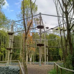 Castlecomer Discovery Park - Kilkenny