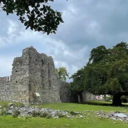 Innisfallen Island - Killarney