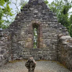 Innisfallen Island - Killarney