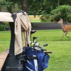 Killarney Golf and Fishing Club - Killarney