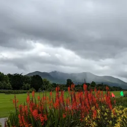 Killarney House and Gardens - Killarney