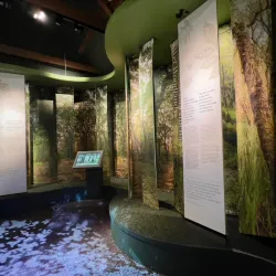 Killarney House and Gardens - Killarney