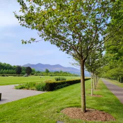 Killarney House and Gardens - Killarney