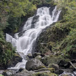 Killarney National Park - Killarney