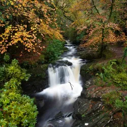 Killarney National Park - Killarney