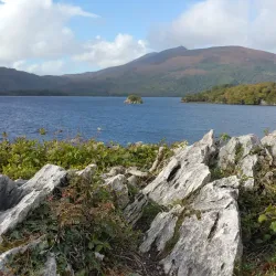 Muckross House and Gardens - Killarney