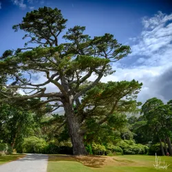 Muckross House and Gardens - Killarney