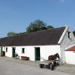 Muckross Traditional Farms - Killarney