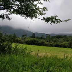 Muckross Traditional Farms - Killarney