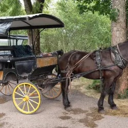 Ross Castle - Killarney