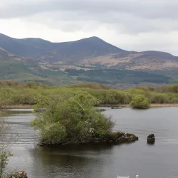 Ross Castle - Killarney