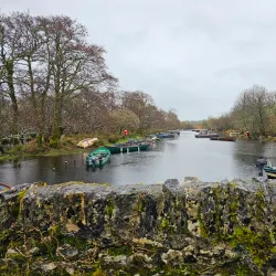 Ross Castle - Killarney