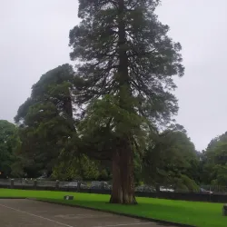St. Mary's Cathedral - Killarney