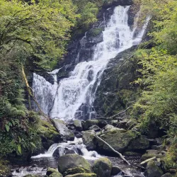 Torc Waterfall - Killarney