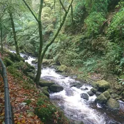 Torc Waterfall - Killarney