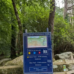 Torc Waterfall - Killarney