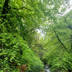 Torc Waterfall - Killarney