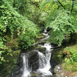 Torc Waterfall - Killarney