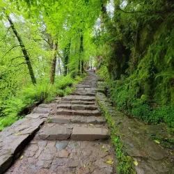Torc Waterfall - Killarney