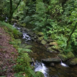 Torc Waterfall - Killarney