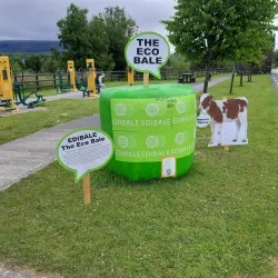 Drumshanbo - Leitrim