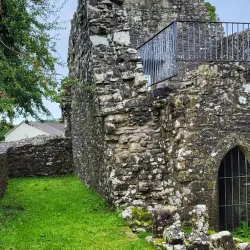 Fenagh Abbey - Leitrim