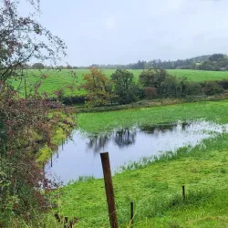 Fenagh Abbey - Leitrim
