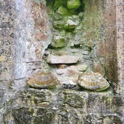 Fenagh Abbey - Leitrim
