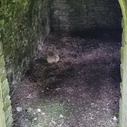 Fenagh Abbey - Leitrim