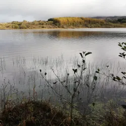Lough Allen - Leitrim