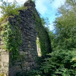 Lough Allen - Leitrim